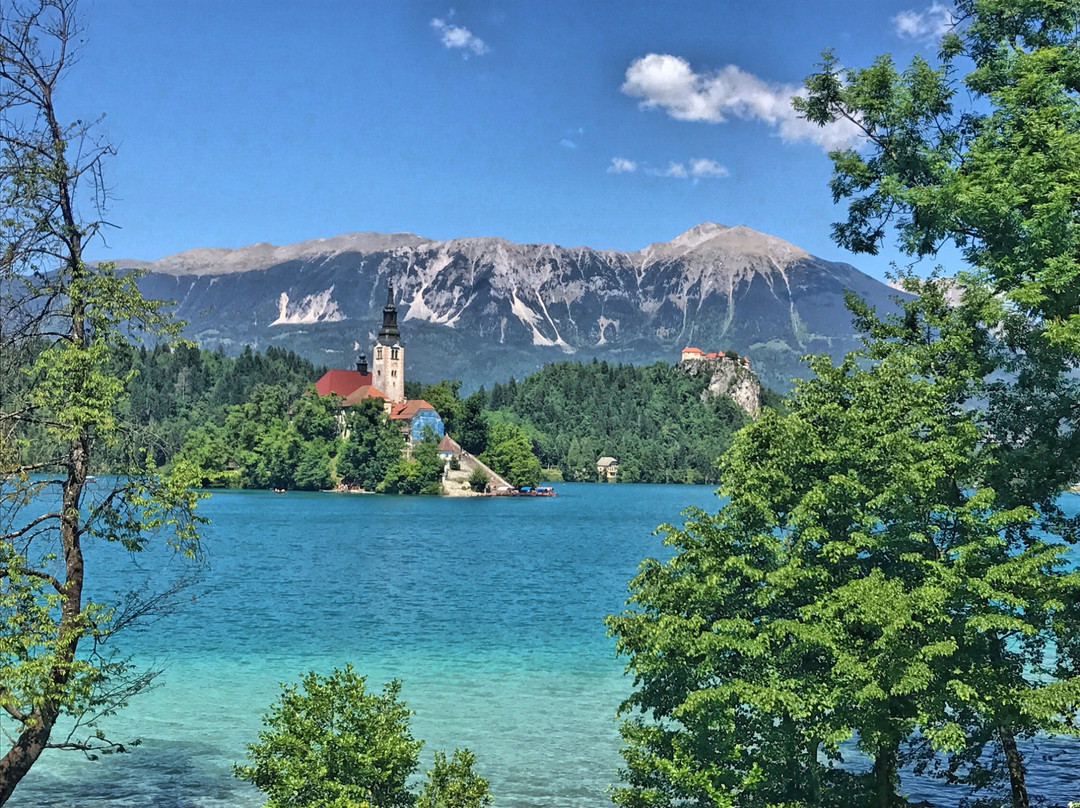 Bled Taxi Transfer-布莱德必去景点