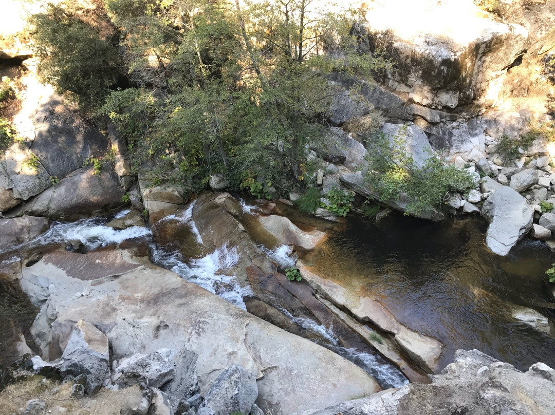 Willow Creek Trail景点图片