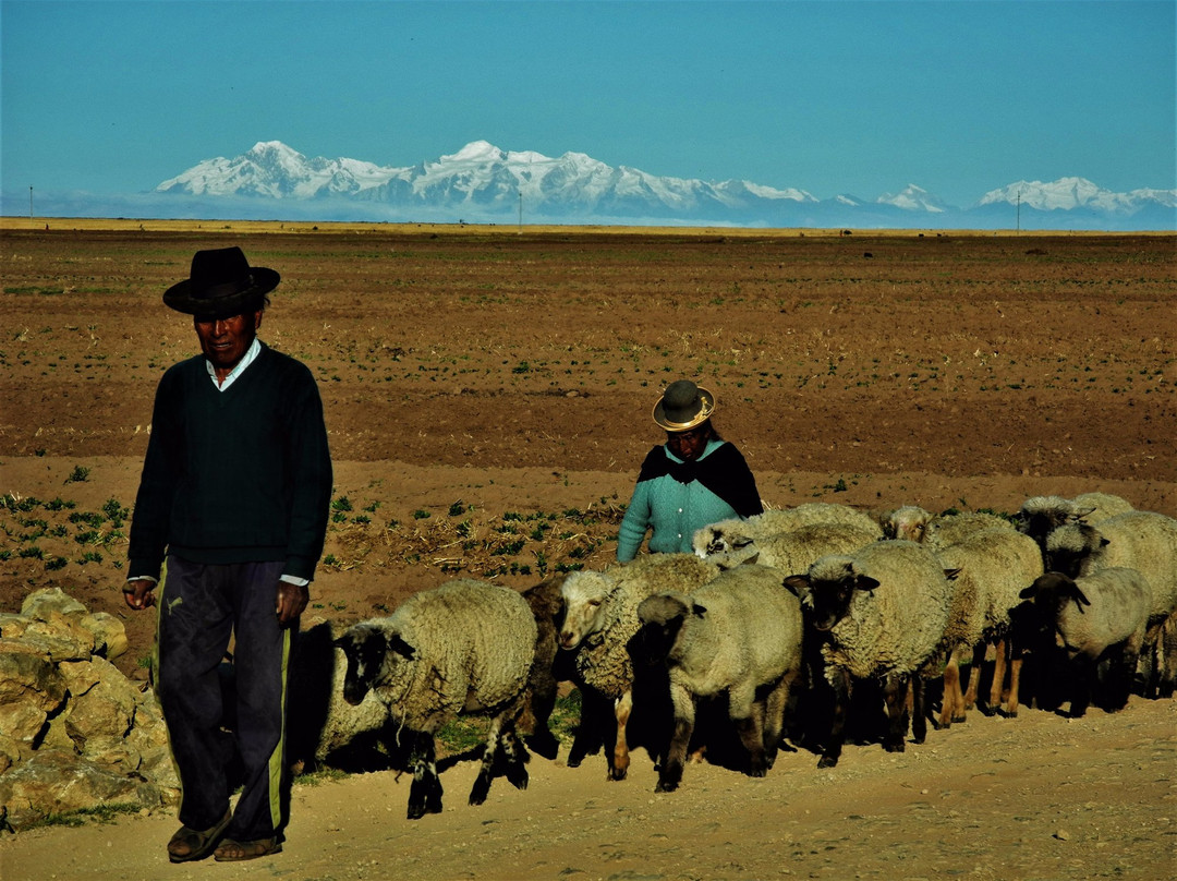 Geographic Experiences-普诺大区必去景点