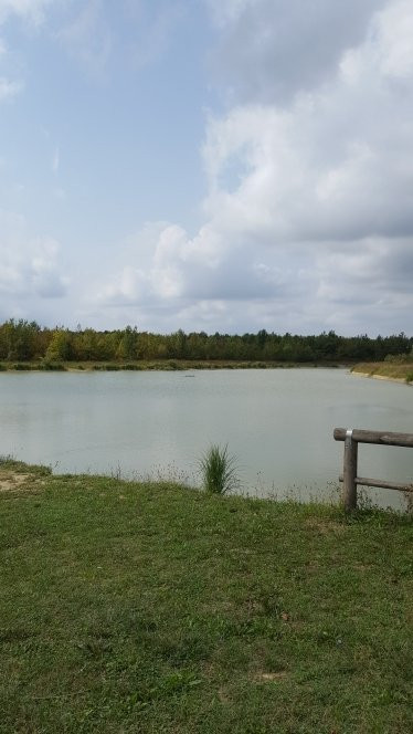 Bosco di Mestre - Bosco dell'Osellino-麦斯特必去景点