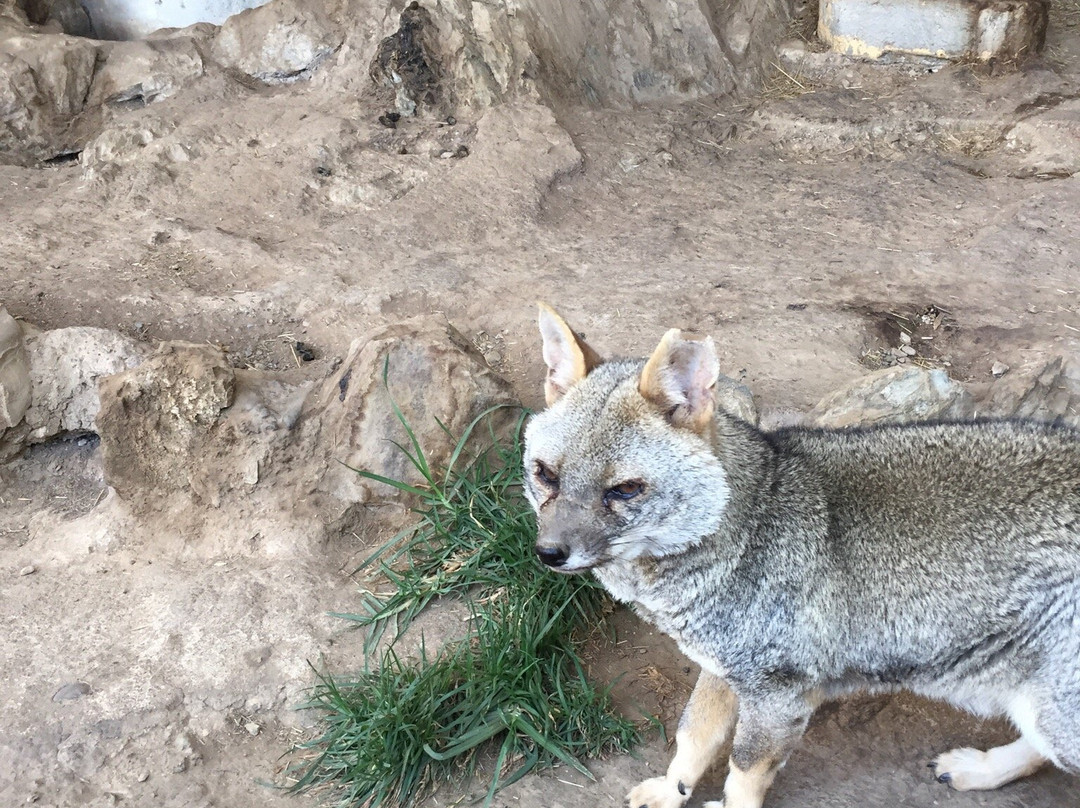Cerrito La Libertad-万卡约必去景点