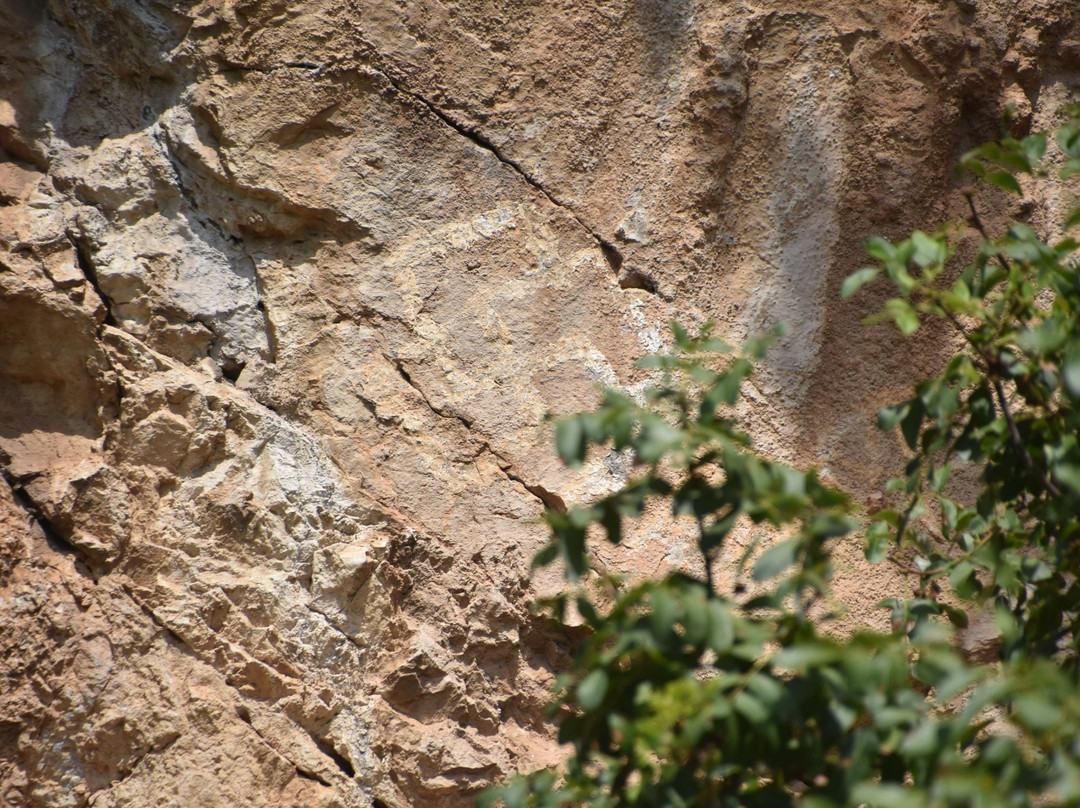 Lipci Rock-Kotor Municipality必去景点
