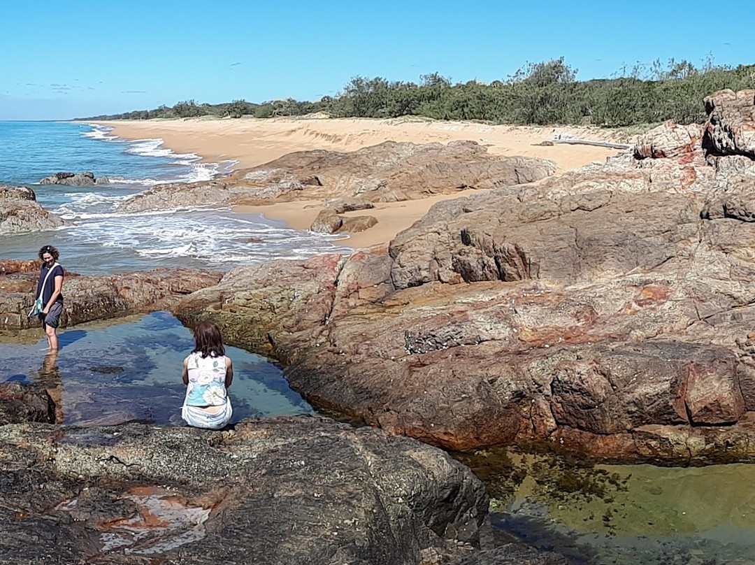 Moondoggie Beach & Bush Tours景点图片