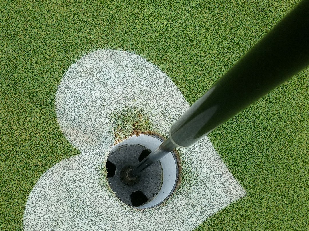 College Fields Golf Club景点图片