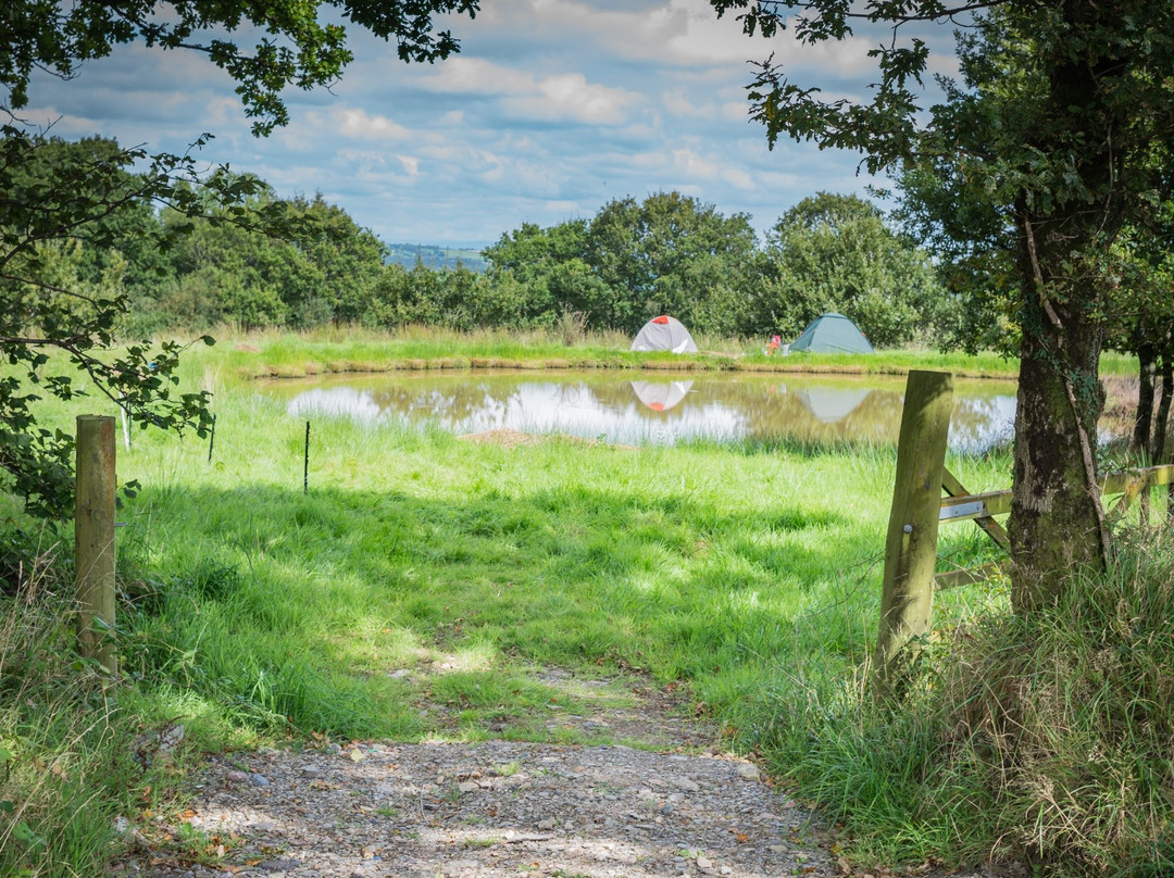 Westdown Farm
