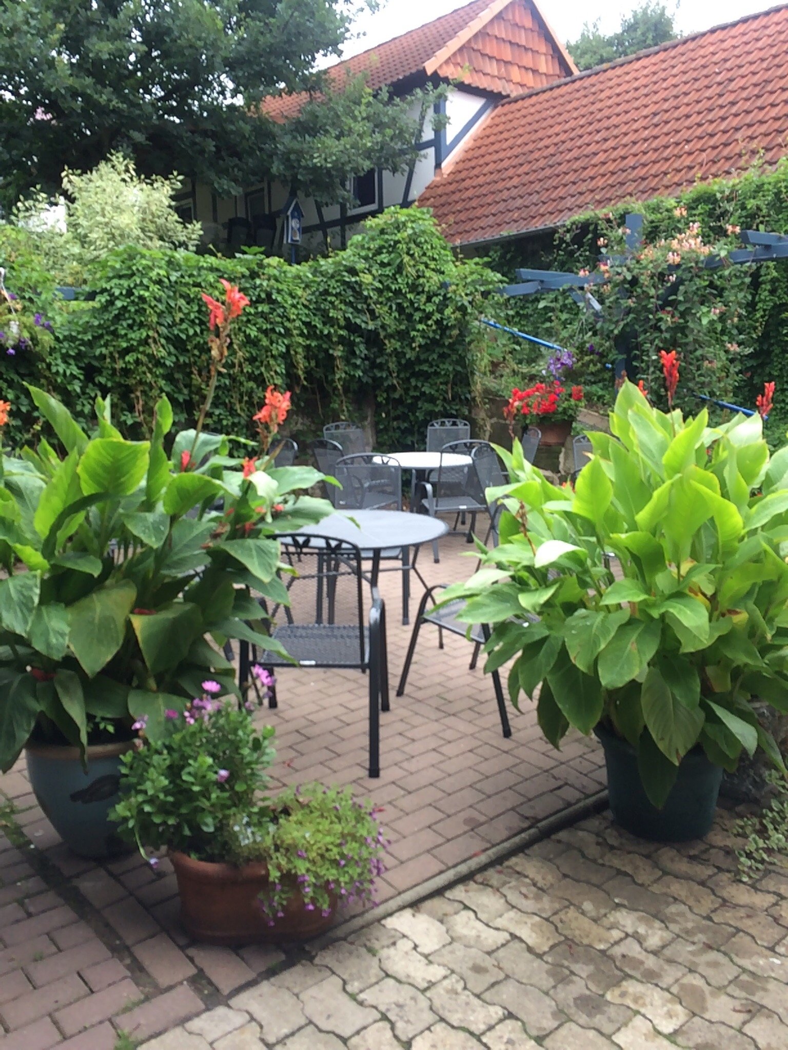 Gasthaus Jutte-官方