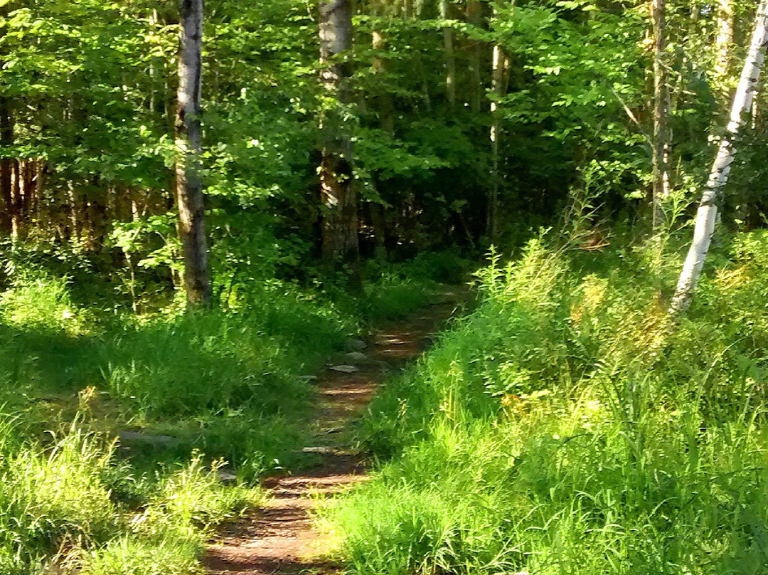 Parc du Bois-Beckett-舍布鲁克必去景点