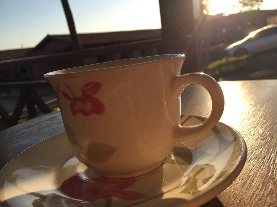 Hipica Centaurus-Tatui必去景点