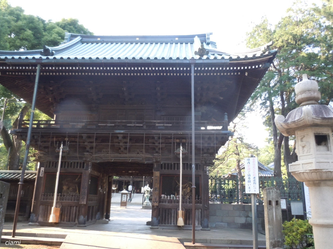 Horinouchi Myohoji Temple-杉并区必去景点