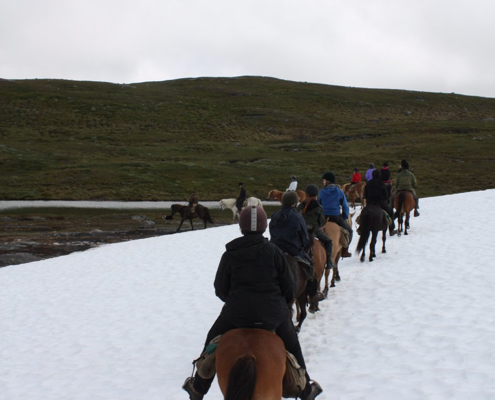 Meraakerfjell Ridesenter景点图片