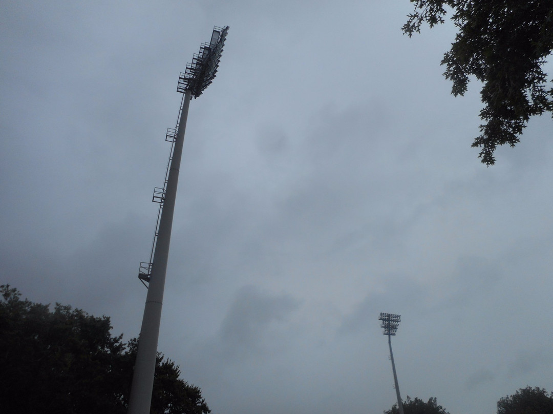 Seddon Park-汉密尔顿必去景点