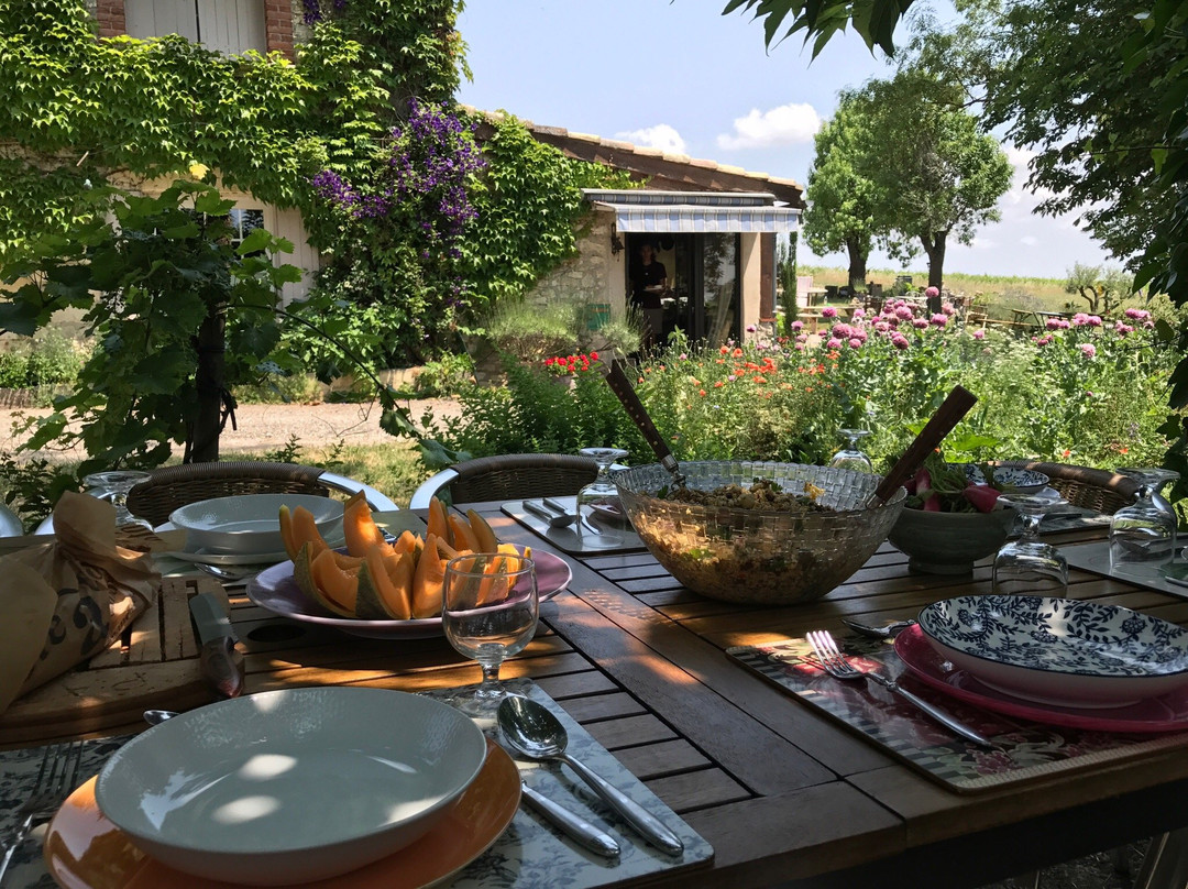 Fine Wine Tours-马扎梅必去景点