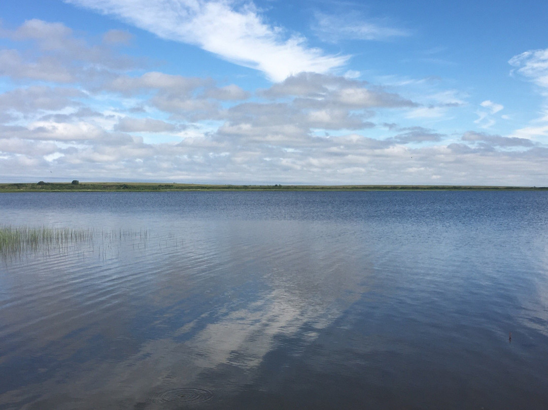 Kuskokwim Backwater Approach - Day Adventures景点图片