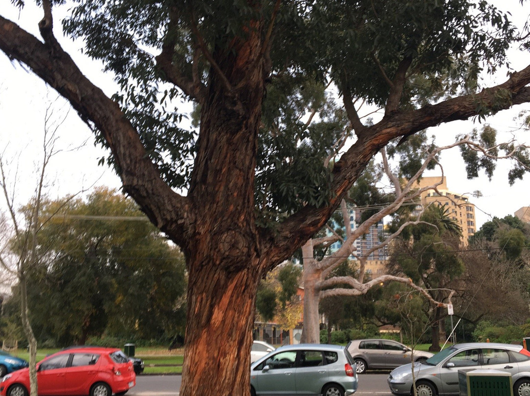 Rockley Gardens-图拉克必去景点