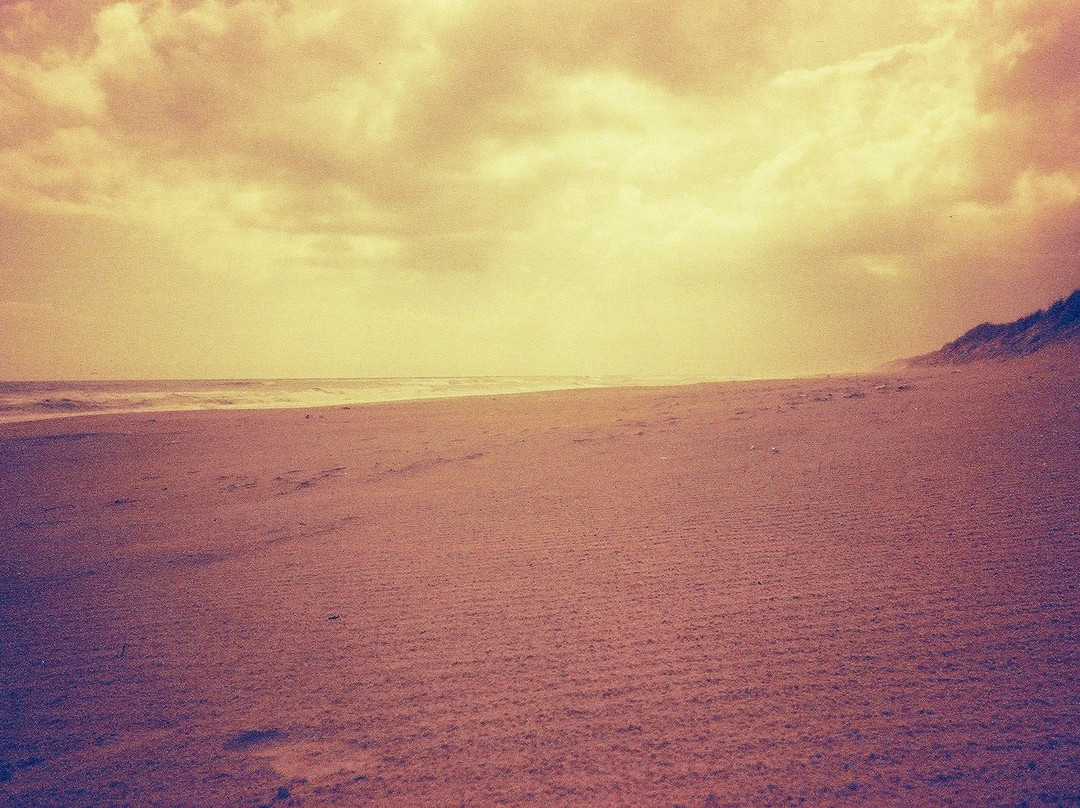 Osso da Baleia Beach景点图片