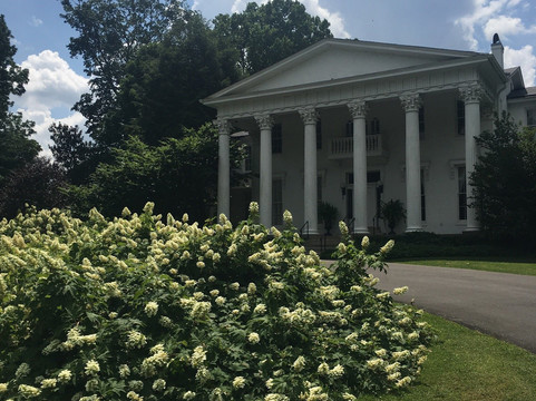 Whitehall House & Gardens-路易斯维尔必去景点