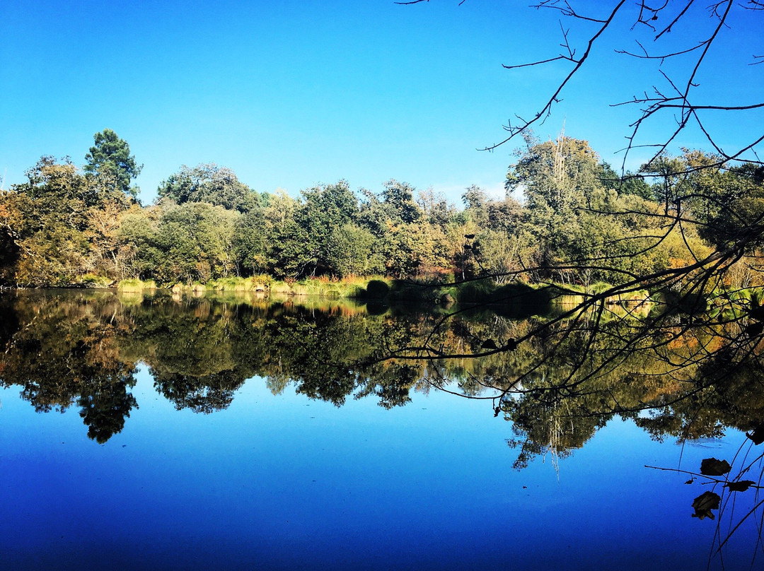 Etang des neuf fontaines景点图片