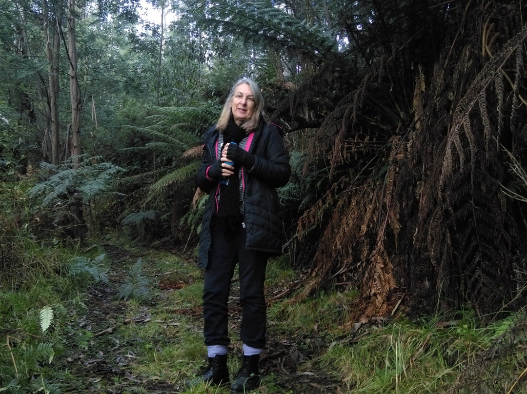 Mount Torbreck-Eildon必去景点