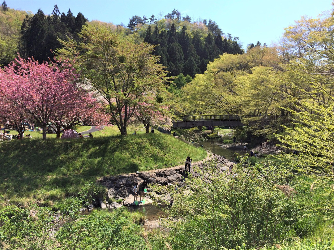 Mitakido Fureai Park景点图片