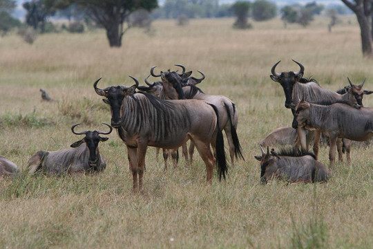 Usambara Expeditions-Dar es Salaam必去景点