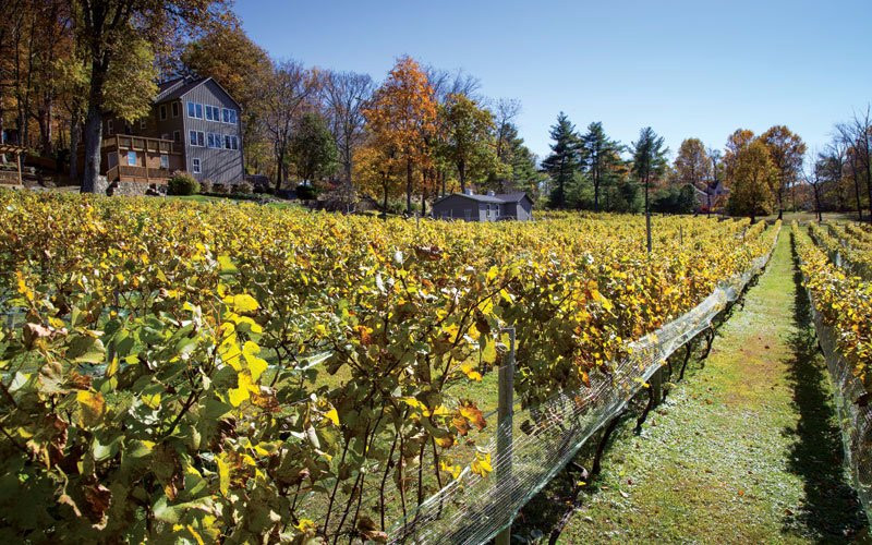 Twin Oaks Tavern Winery景点图片
