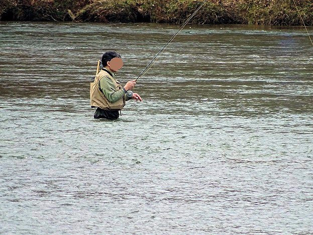 Jones Bridge Park-诺克罗斯必去景点