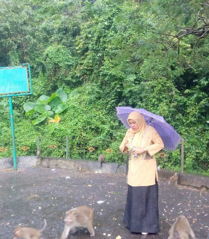 Plangon Monkey Forest and Tombs景点图片