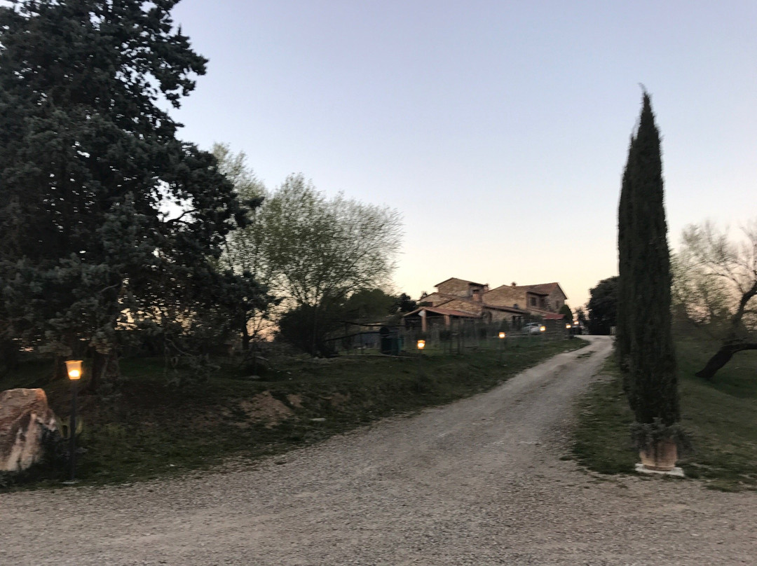 Centro Equestre Viamaggio-Murlo必去景点