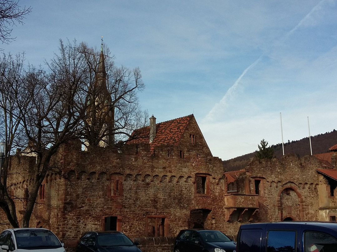 Tiefburg Handschuhsheim-海德尔堡必去景点