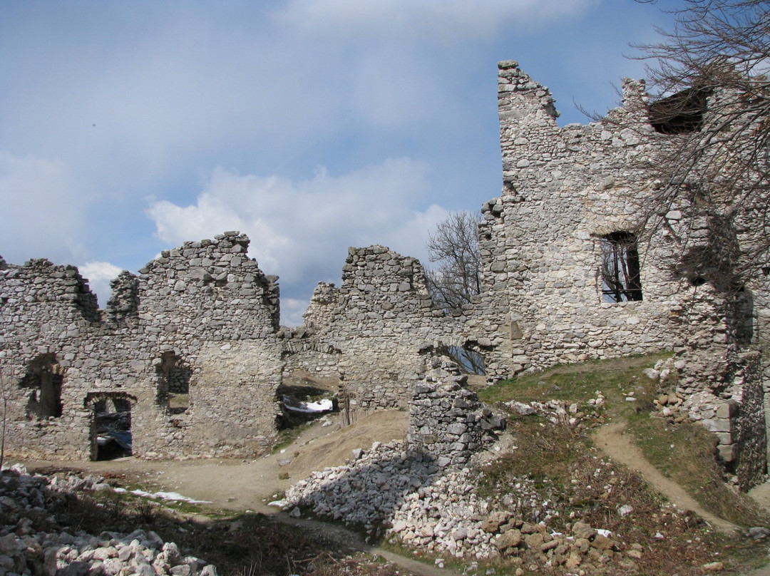 The ruins of the castle Tematin