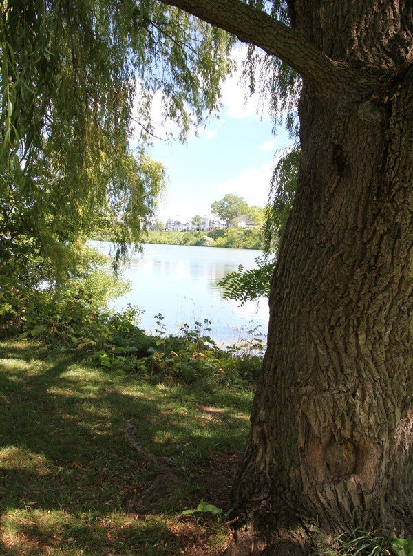 Jaycee Gardens Park-圣凯瑟琳斯必去景点