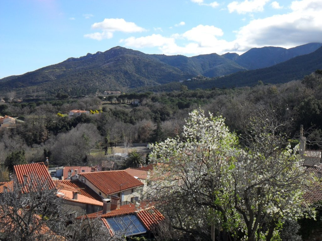 Château de Laroque des Albères景点图片