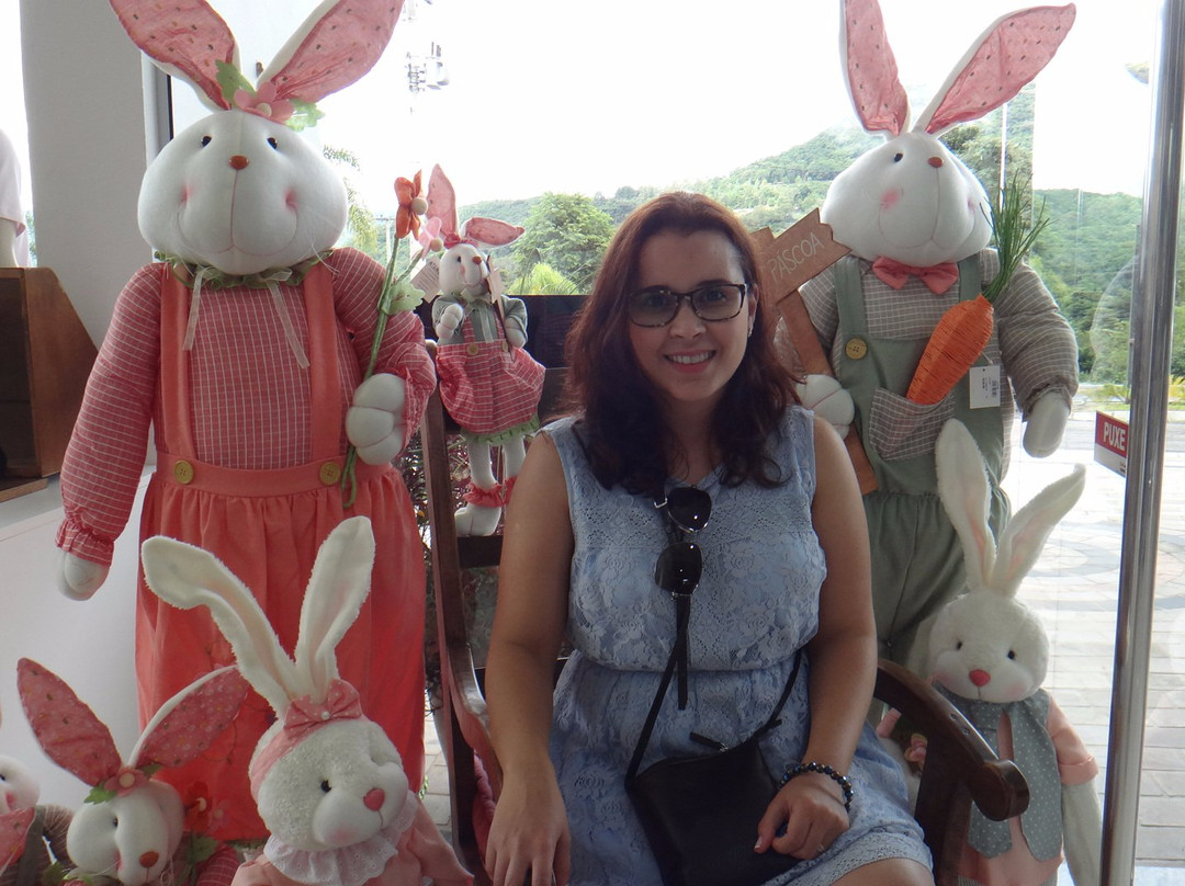 Lyttu's-Nova Petropolis必去景点