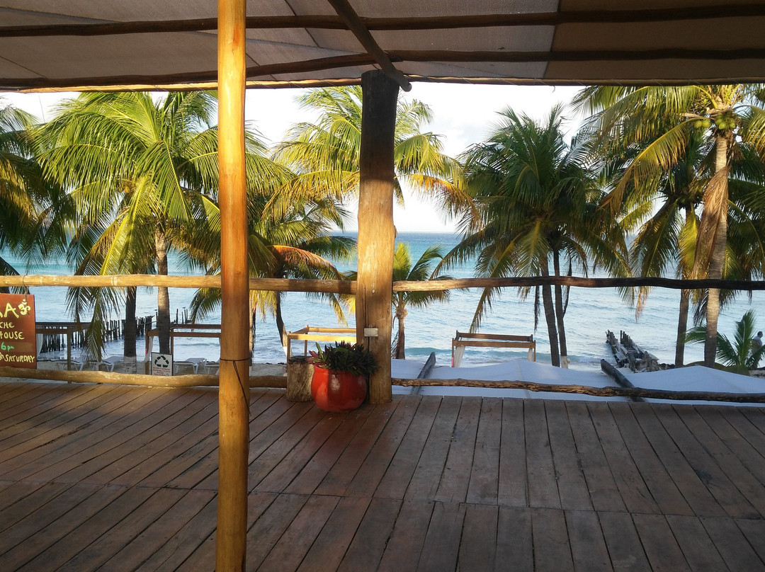 The Treehouse Yoga-女人岛必去景点