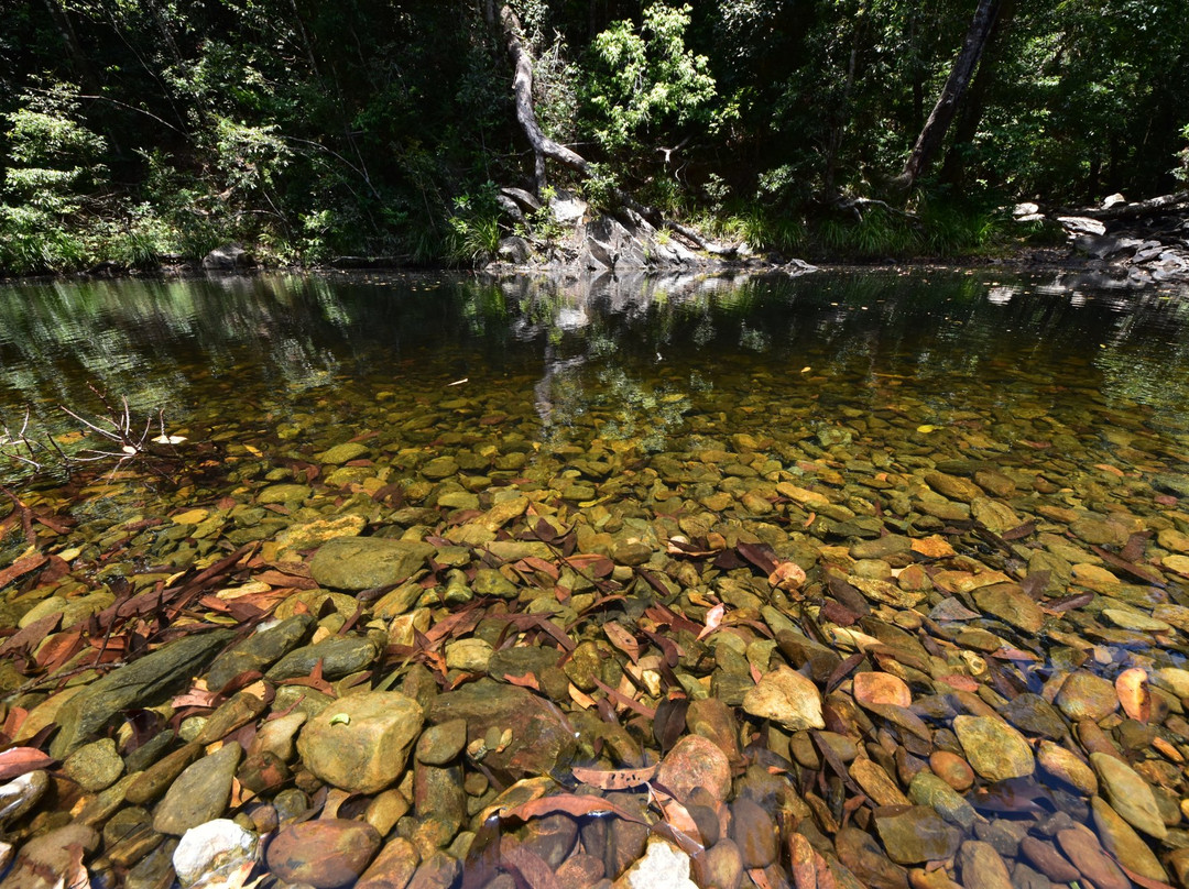 Cairns 4WD Tours景点图片
