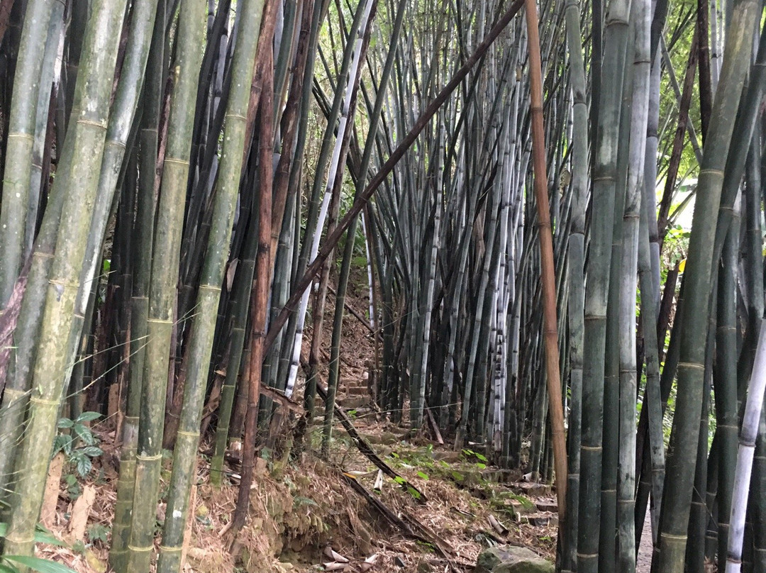 野趣沟景点图片