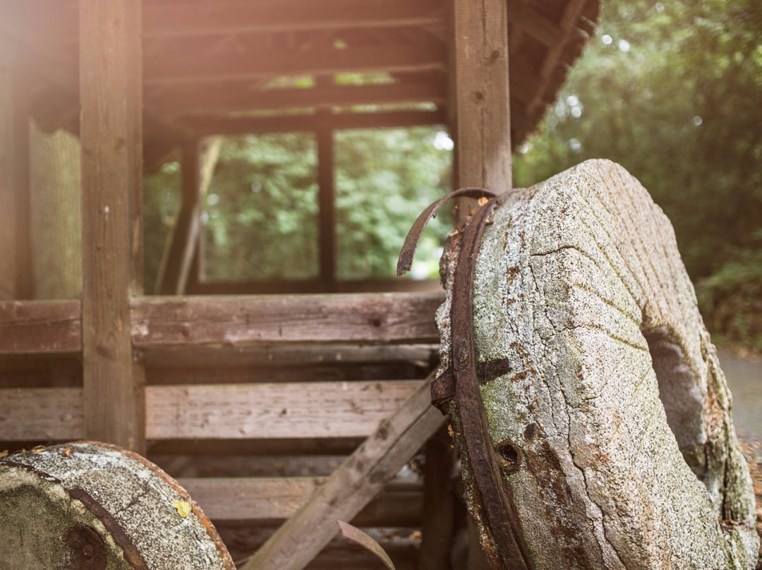 Hohlebach Mühle主图