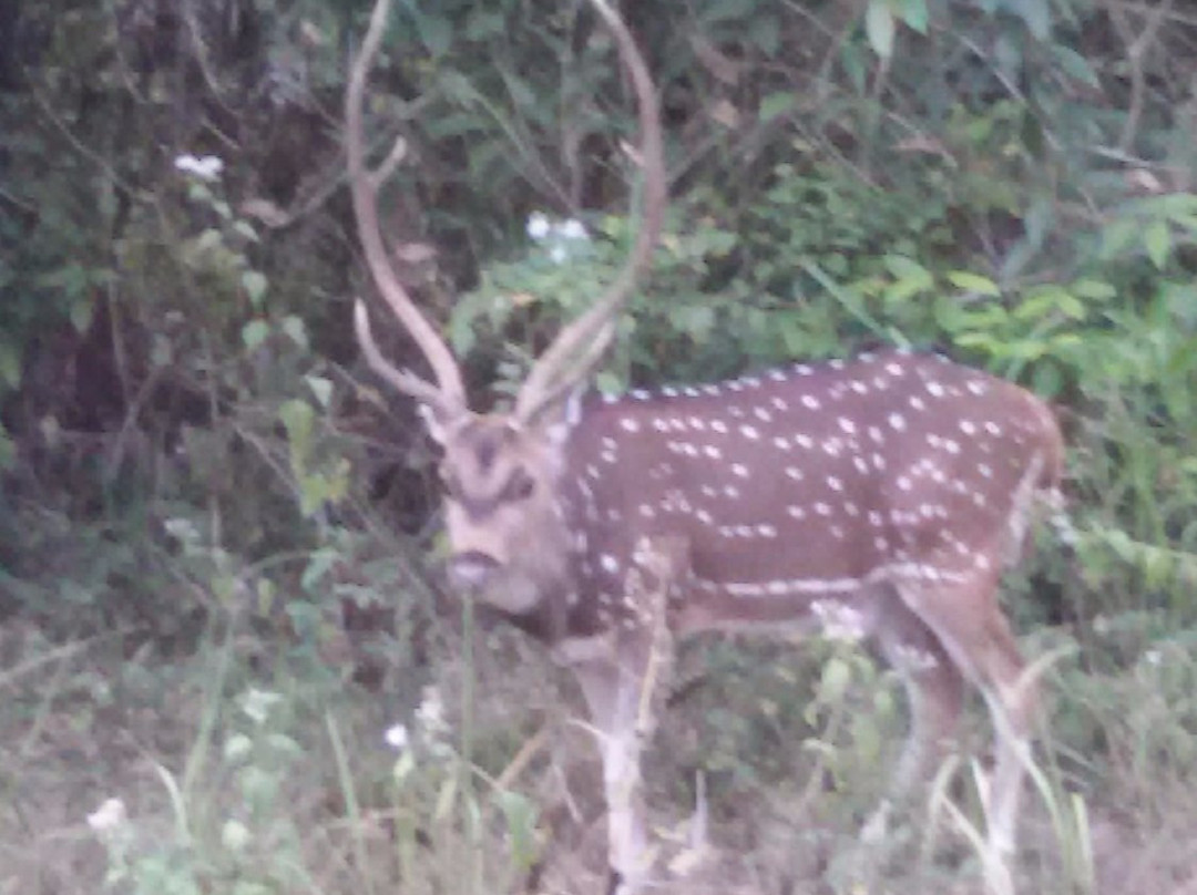 Muthodi Wildlife Sanctuary景点图片