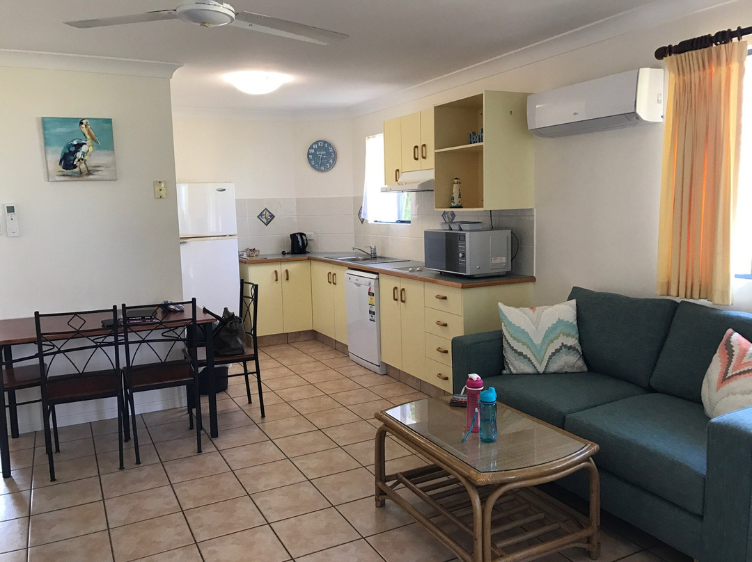 Dolphin Waters主图