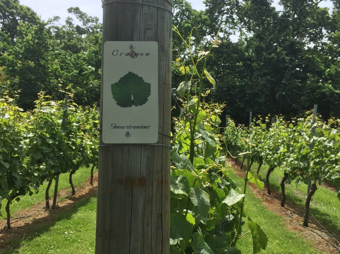 Craigow Vineyard景点图片