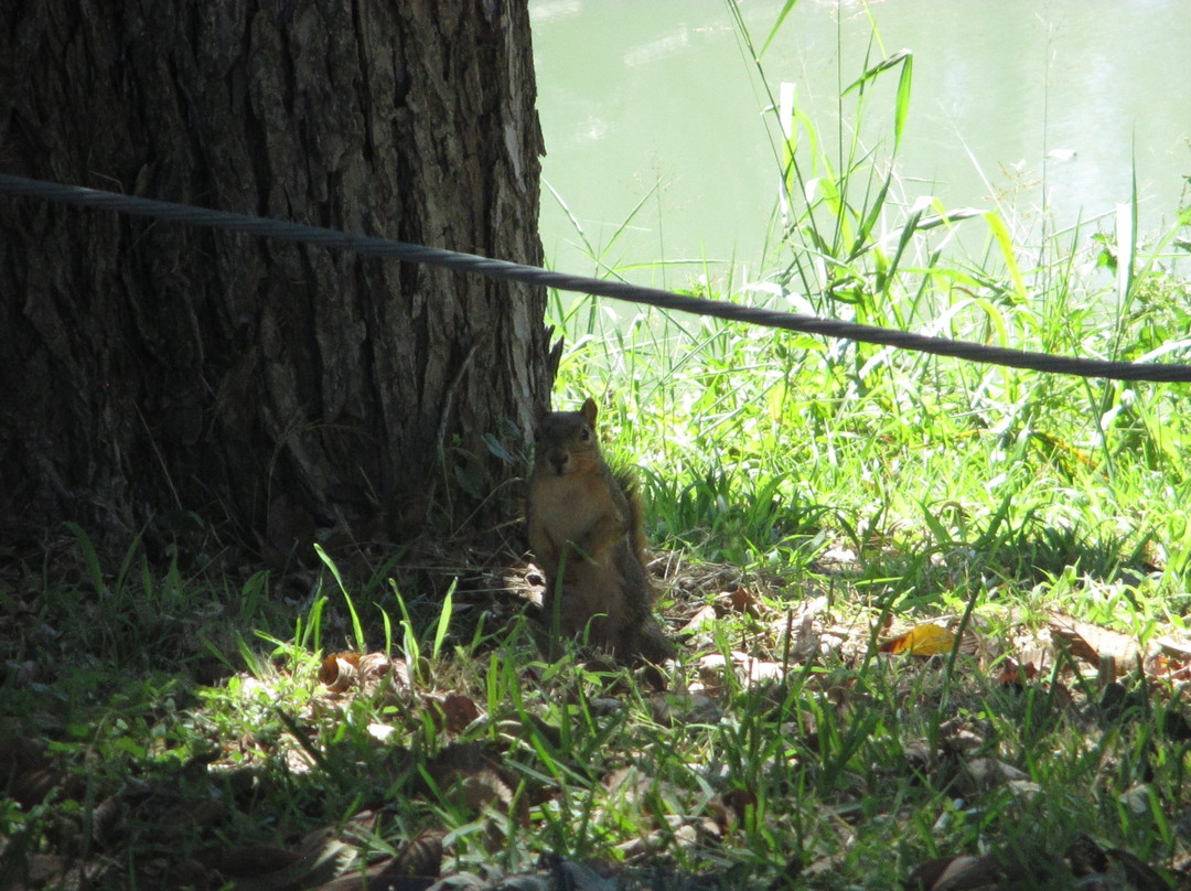 Max Starcke Park-塞金必去景点
