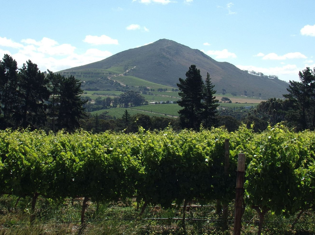 Mont Destin Wines景点图片