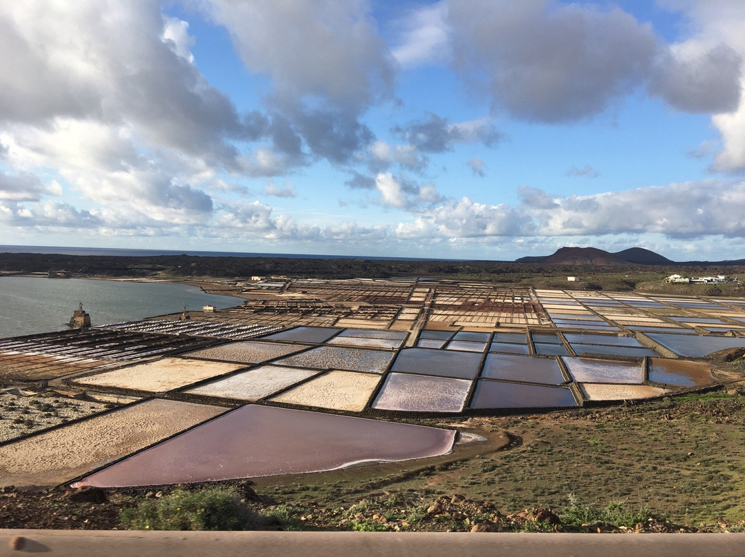 Salinas de Janubio景点图片