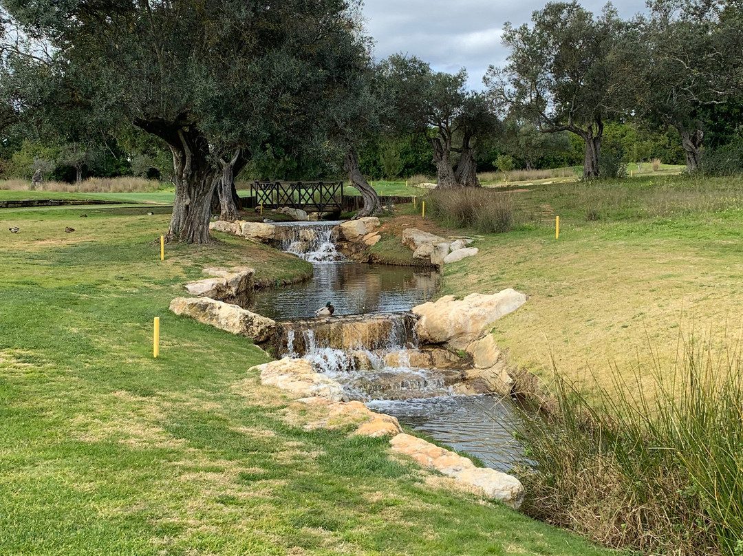 Quinta da Ria景点图片