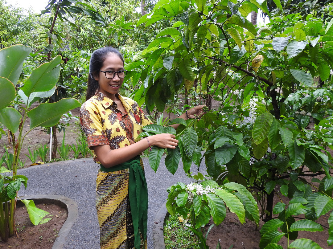Kopi Kemenuh-Kemenuh必去景点