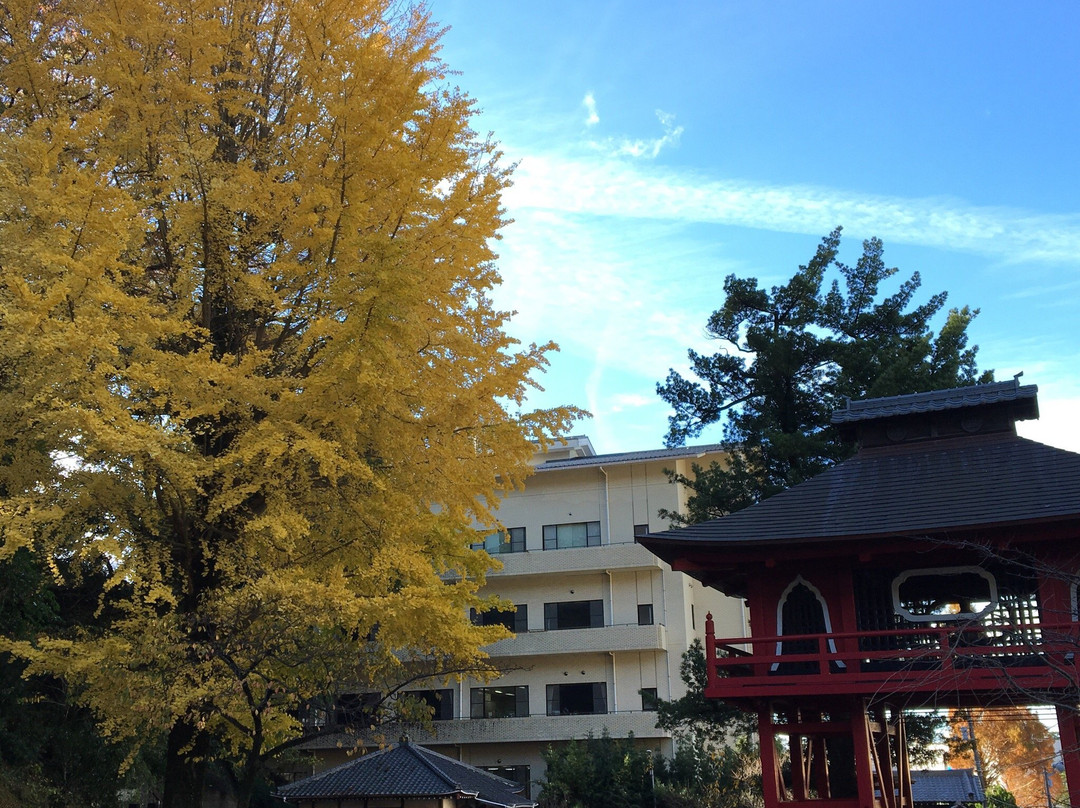 Seunji Temple-伊豆市必去景点
