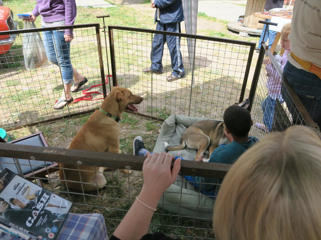 Paardevlei Farmers Market-西索美塞必去景点