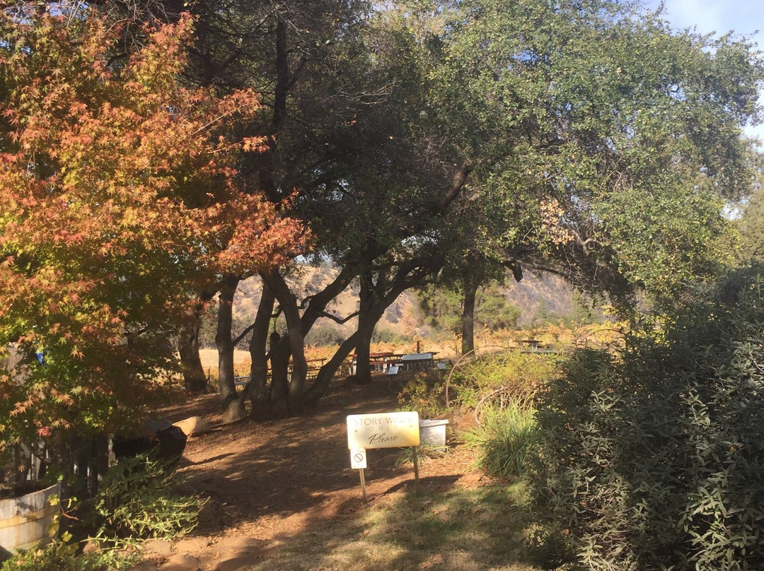 Story Winery景点图片