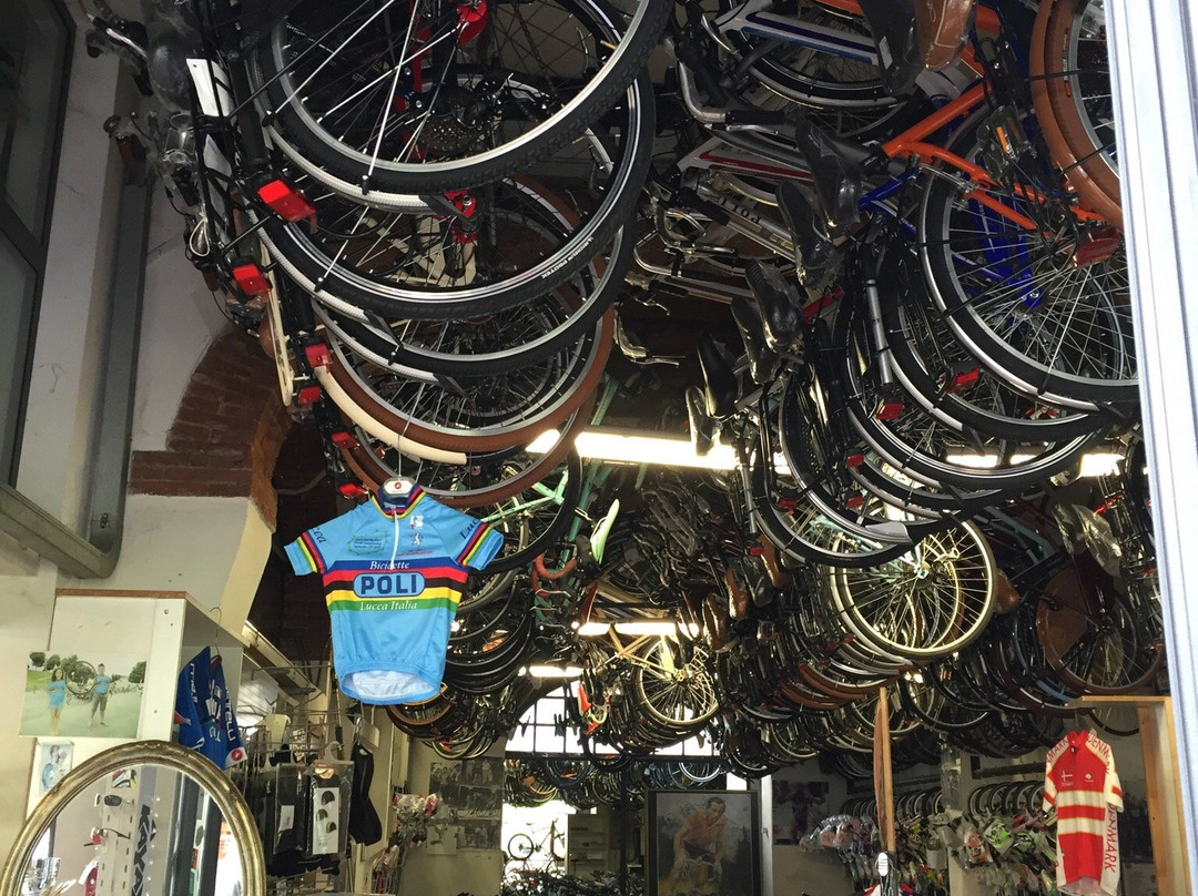 Biciclette Poli景点图片