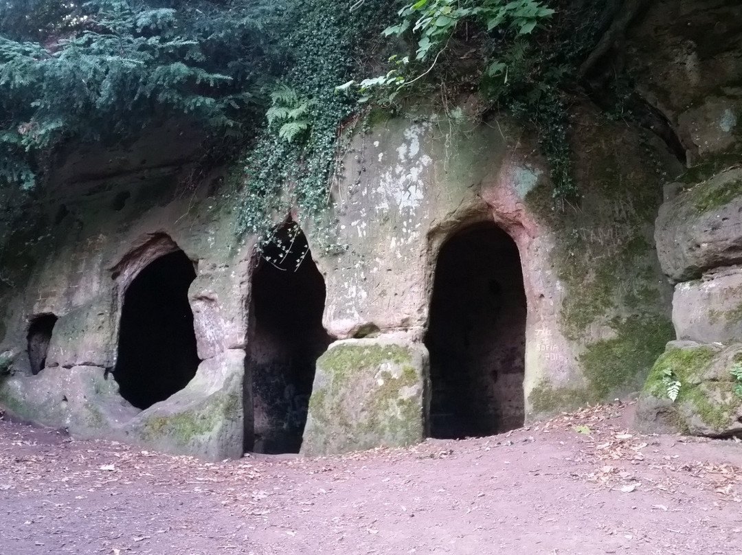 The Hermitage